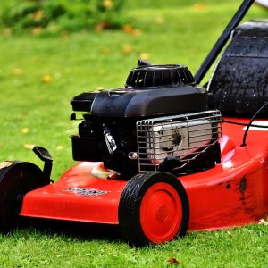 lawn mower, gardening, mow